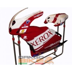 Carenado Ducati 999 versi�n Xerox